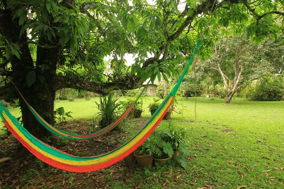 Clarissa Falls Resort in San Jose Succotz (Mopan River)